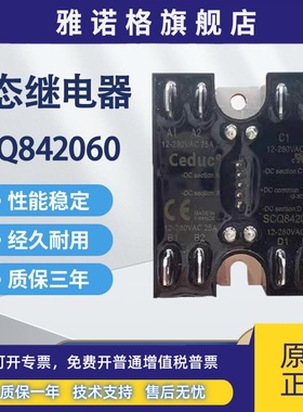 赛德Celduc4极固态继电器SCQ842060 实物拍摄 快达crydom TD2420Q