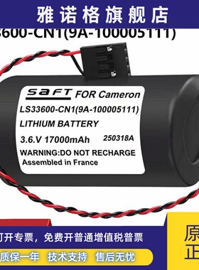 卡麦隆流量计控制阀门3.6V锂电池LS33600-CN1 9A-100005111电池