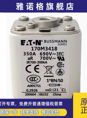 170M3418 170M3419 170M3420 170M3421 170M3422 170M3423熔断器
