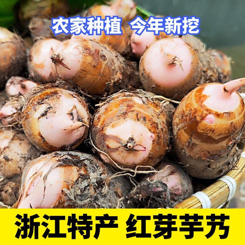 浙江红芽芋头农家种植现挖现发