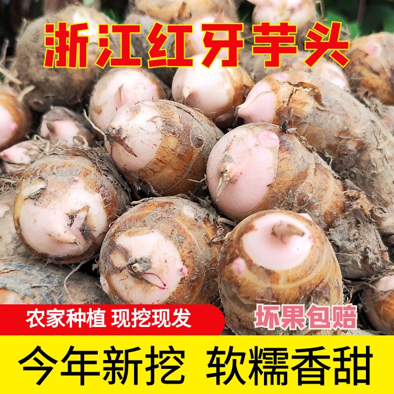 浙江高山农家红芽芋头新鲜蔬菜软糯小芋头现挖现发毛芋艿粉糯奶芋