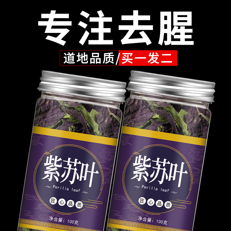 中药食用干新鲜泡水喝紫苏叶