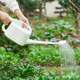 新款 家用淋花水壶浇水壶长嘴浇花壶大容量养花种菜塑料洒水壶蓬壶