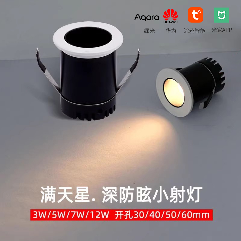 已接入米家2.0版本涂鸦绿米智能小开孔30405060尺寸满天星筒射灯