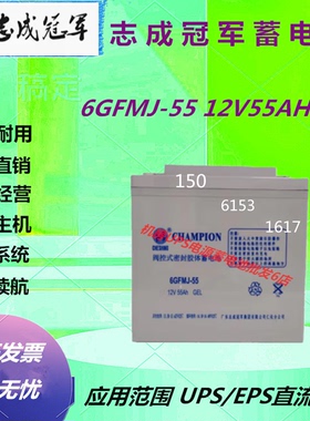 志成冠军蓄电池6GFMJ-55 12V55AH应急电源直流屏机房专用UPS全新