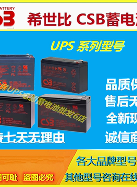 CSB希世比蓄电池UPS123606 123607 12460F2  12580F2免维护UPS