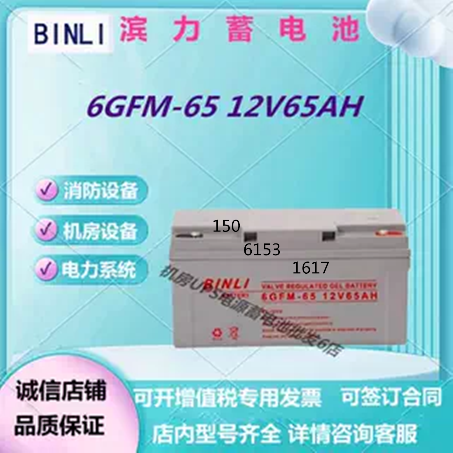 滨力蓄电池6GFM-65 12V65AH直流屏UPS电源免维护机房阀控式消防
