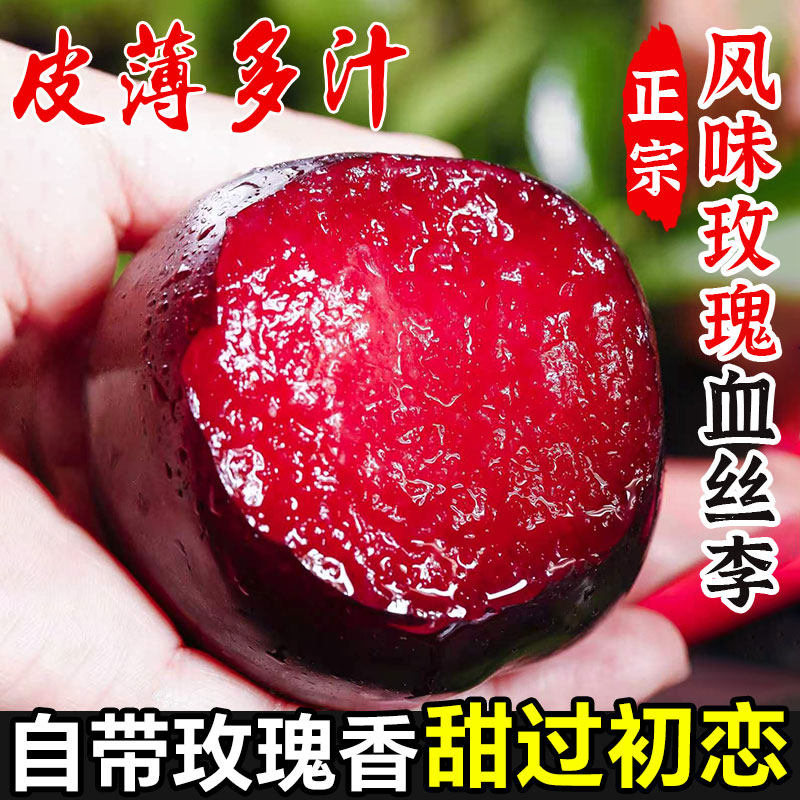 正宗风味玫瑰血丝李子新鲜水果当季整箱应季红心黑布林红肉恐龙蛋