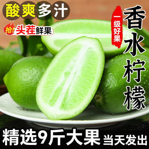 香水柠檬新鲜青柠檬应季水果一级无籽广东青柠奶茶店专用