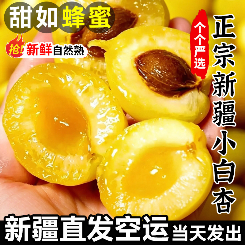 正宗新疆小白杏子新疆直发新鲜水果4斤当季整箱库车轮台杏子