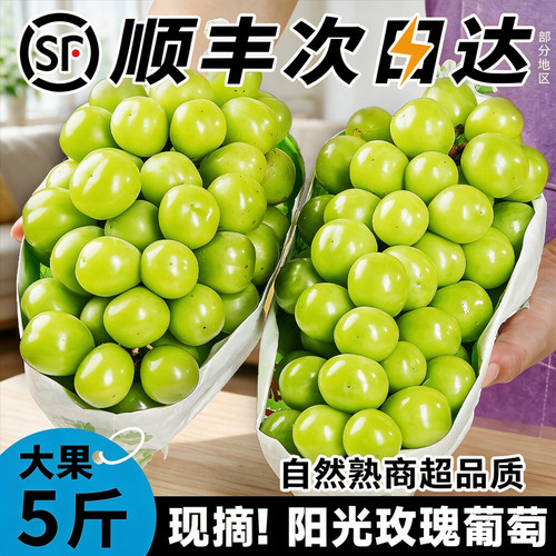 阳光玫瑰葡萄顺丰上门