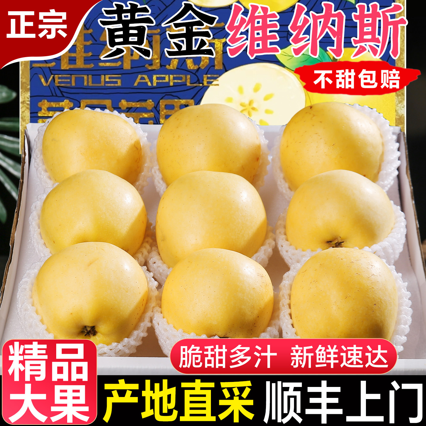 正宗黄金维纳斯苹果新鲜水果5斤当季整箱奶油富士冰糖心丑苹果,水产肉类/新鲜蔬果/熟食,苹果,淘宝优惠券,粉丝福利购,淘宝优惠卷