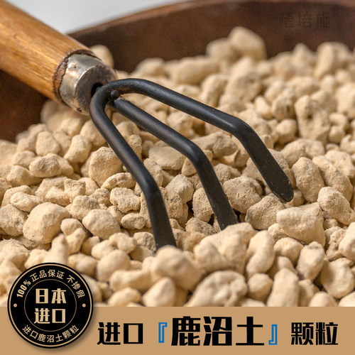 鹿沼土日本原装进口硬质弱酸性土