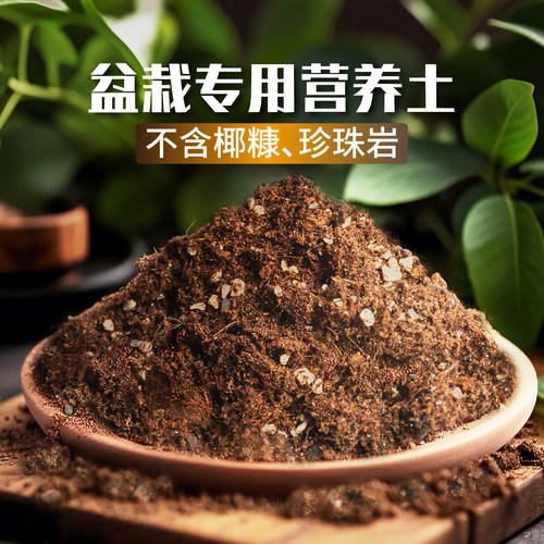 轻石泥炭营养土不掺椰糠珍珠岩