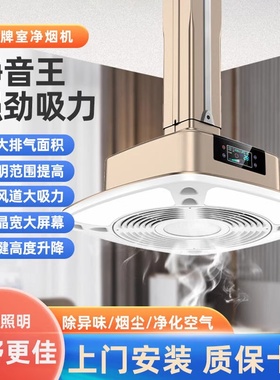 外排烟机升降吊灯棋牌室桌馆房专用空气净化器排风抽烟麻将吸烟灯