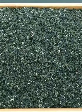 绿茶2025年新茶蒙顶山茶毛峰毛尖素茶高山云雾浓香型茶叶500g包邮