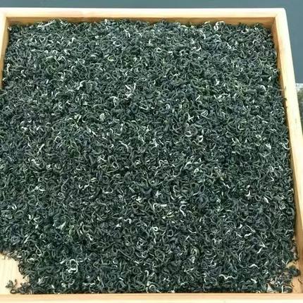 绿茶2026年新茶蒙顶山茶毛峰毛尖素茶高山云雾浓香型茶叶500g包邮