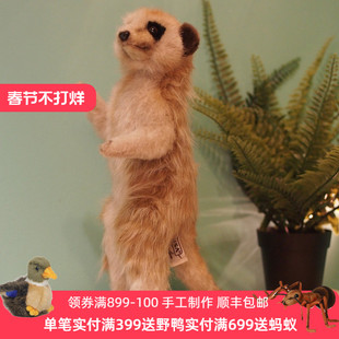 HANSA进口可爱萌玩偶儿童礼物7880-狐獴毛绒玩具公仔男生女生