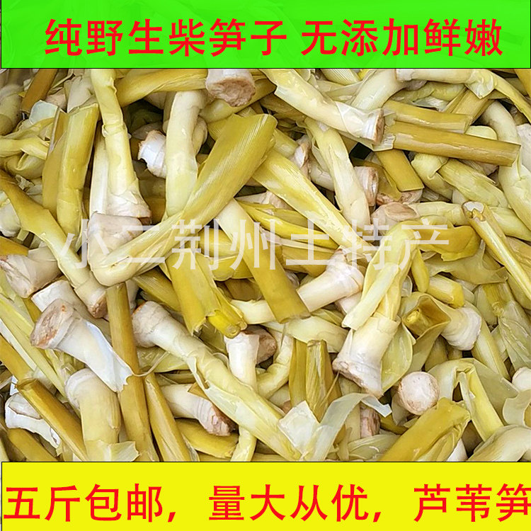 荆州特产野生芦苇笋柴笋子狄笋芦笋新鲜蔬菜野菜财笋鲜嫩五斤包邮