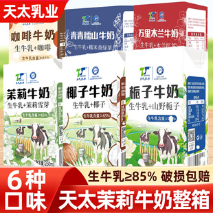 天太茉莉牛奶咖啡椰子栀子木兰红茶糯米香绿茶多口味风味早餐奶