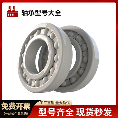 替代进口氧化锆全陶瓷轴承密封耐高温无油自润滑6312 6313 6314CE