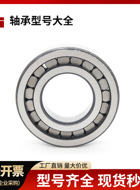 满装圆柱滚子轴承NNCF5004 5005 5006 5007 5008 5009 5010 5011