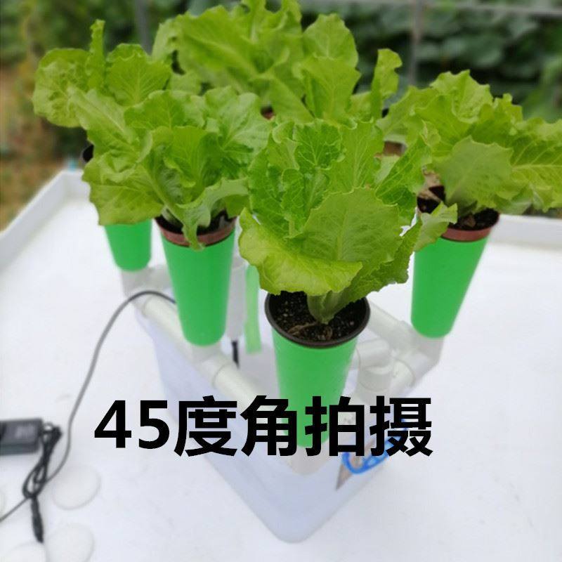 无土栽培设备鱼菜共生系统设备鱼菜共生虹吸阳台种菜箱包邮批