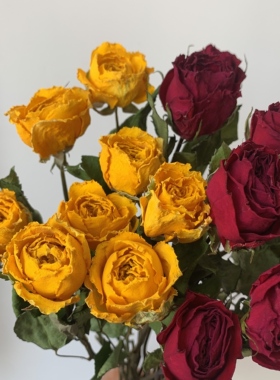 玫瑰干花花束真花风干ins网红装饰家居摆件diy文艺风插花拍摄道具