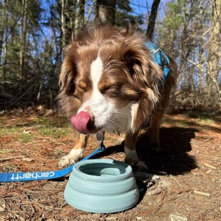 OHMO便携水碗可折叠宠物狗狗猫咪自驾户外露营水碗硅胶材质山影