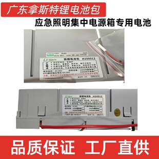 敏华劳士应急照明集中电源箱500W1000W原厂平替拿斯特36V锂电池包