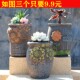 多肉植物花盆陶瓷小口径肉肉简约粗陶老高桩套装 包邮 组合特价 清仓