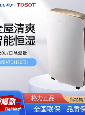 格力除湿机DH20EH家用抽湿机客厅卧室地下室除潮智能控湿可干衣