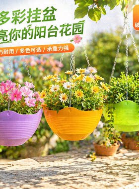 垂吊挂式pp树脂塑料吊兰彩色绿萝