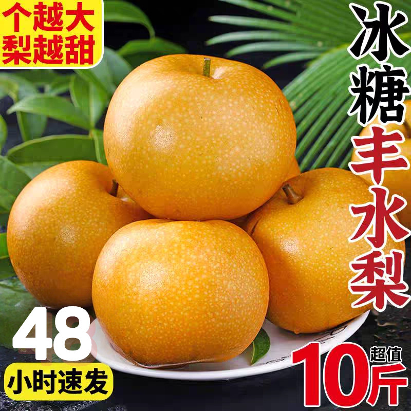 【划算】脆甜正宗山东丰水梨5斤大果黄皮梨子当季新鲜水果爆汁