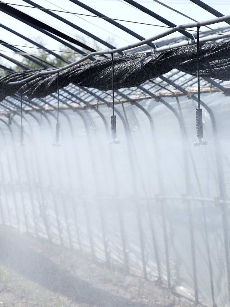 适用大棚倒挂喷头微喷雾化系统自动喷淋养殖种菜喷灌灌溉喷药浇水