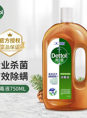 滴露消毒液750ML家用室内家居