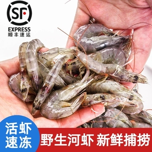 顺丰冷链发货！冰喜新鲜小河虾690g