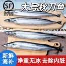 30cm 京鲁远洋秋刀鱼去内脏冷冻新鲜烧烤食材半成品2斤13 15条