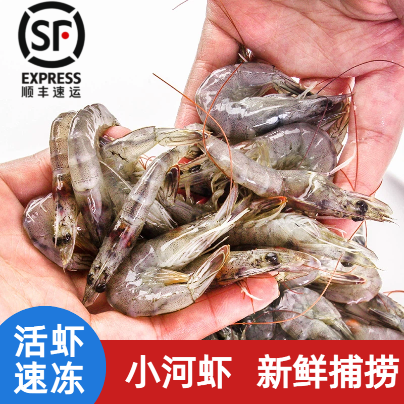 小河虾新鲜速冻现捕鲜活冷冻小白虾淡水草虾青虾钓鱼喂鱼乌龟饲料