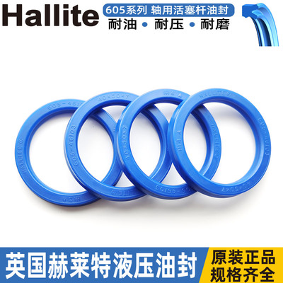 hallite好莱特轴用活塞杆605进口油封30*42 45*10 12 43831 46189