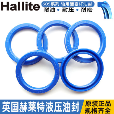 赫莱特hallite油封活塞杆605-85*100*10 11 13 46106 46153 43068