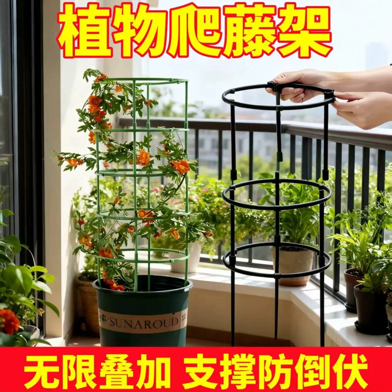 花架子室内家用支架通用型蟹爪兰
