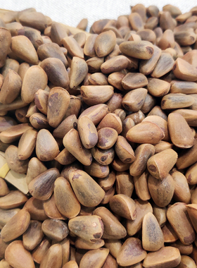 25黑龙江特产新货东北生松子不开口孕妇儿童鼠粮坚果绿色原生态