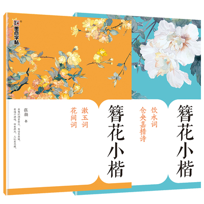 簪花小楷字帖大学生成人楷书速成卫夫人字帖女生漂亮字体仓央嘉措饮水词李清照漱玉词唯美古风字帖男硬笔楷书描红张颢临摹钢笔字帖