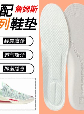 适配詹姆斯21 20 19 18 17 16 15士兵使节14 13 12 11鞋垫高弹9