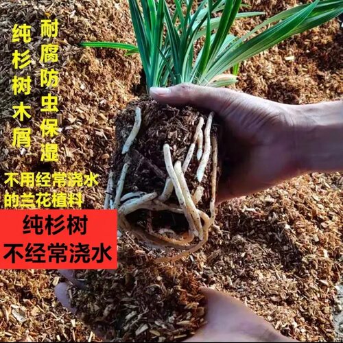 翁源兰花专用土营养种植料石服盆熟腐肥料疏松树皮透气好养活家用 - 封面