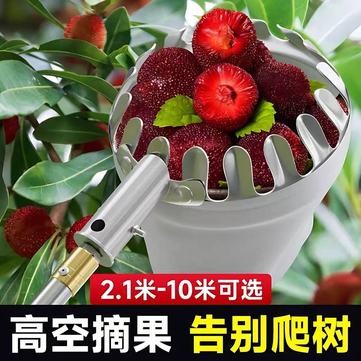 摘杨梅神器水果采摘器伸缩杆高空摘枇杷荔枝芒果工具网兜摘果器