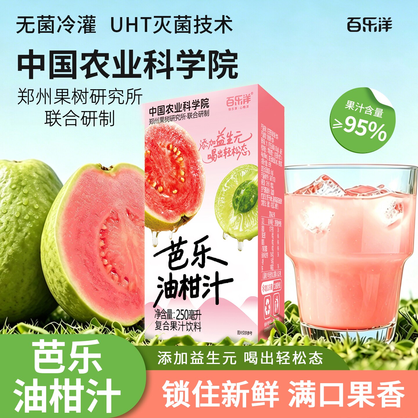 农科院百乐洋芭乐油柑汁饮料整箱