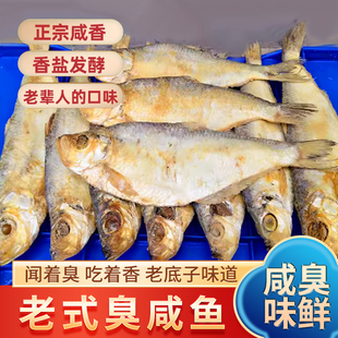 老式咸鱼正宗白鳞鱼 臭香盐力鱼咸鳓鱼 三刨霉鳓鱼自晒梅香咸鱼干