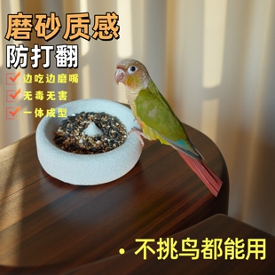 鹦鹉轻质浮石火山石磨嘴食盆小太阳鸟防溅和尚磨爪打翻神器结实水